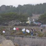 CambriaCN_183 (October 25, 2014)